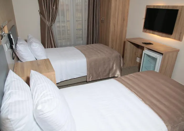 Remila Hotel Hotel 3*